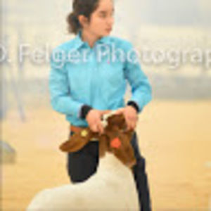 Meet your Posher, Taylor